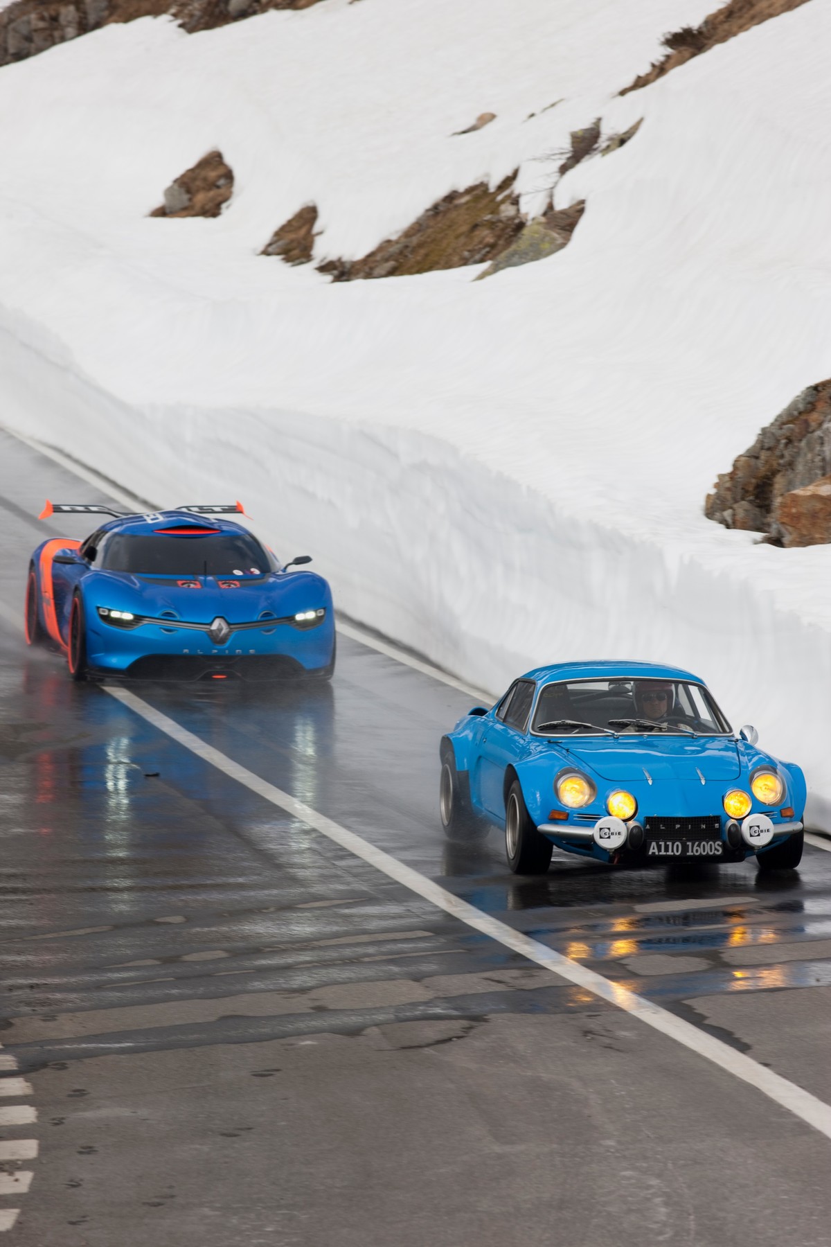 Alpine zar