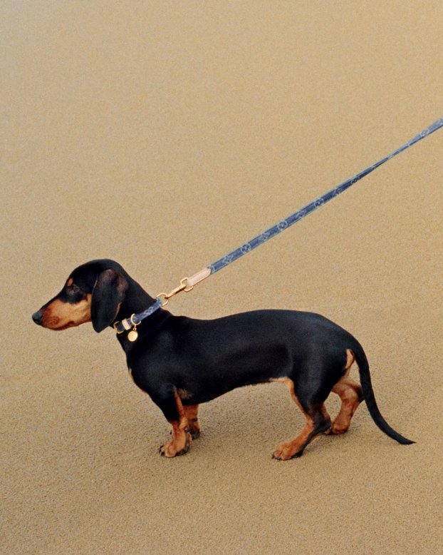 Nautical lecurie/nautical/img_4283.jpg